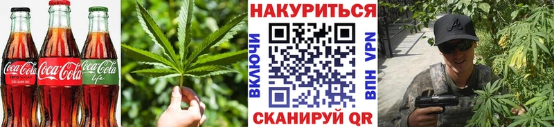 гидра как войти  Волгодонск  Canna-Cookies конопля  закладка 