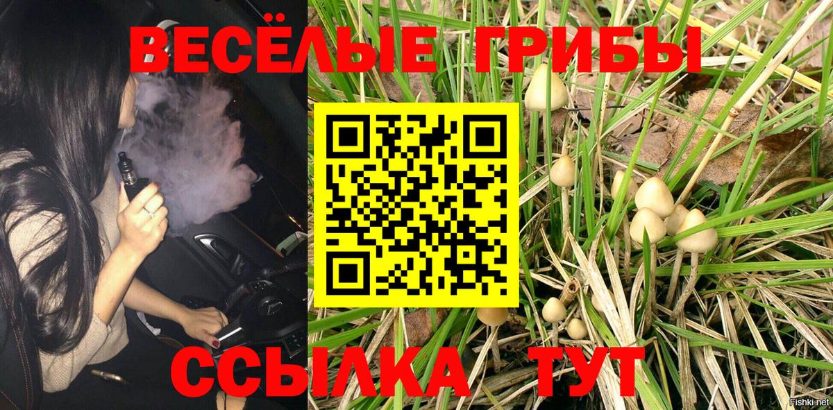 Галлюциногенные грибы Magic Shrooms  Вход с VPN  Псилоцибиновые грибы прущие грибы  Волгодонск 