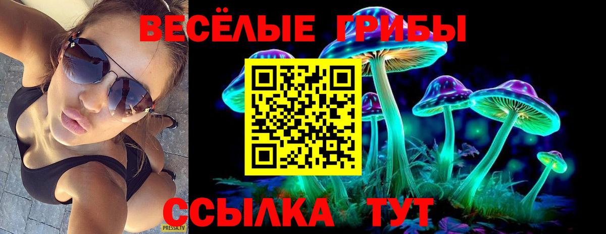 наркошоп  Волгодонск  Галлюциногенные грибы Psilocybe 
