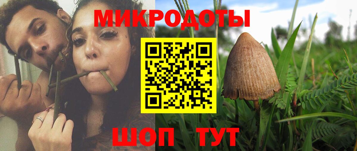 Галлюциногенные грибы MAGIC MUSHROOMS Волгодонск