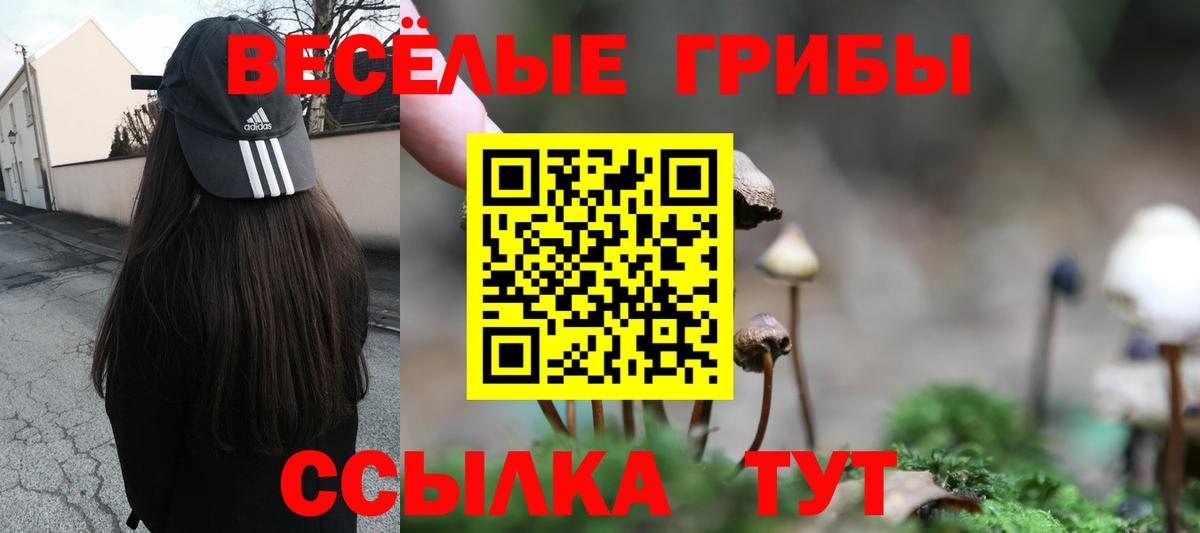 Псилоцибиновые грибы MAGIC MUSHROOMS Волгодонск